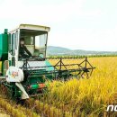 미곡농장 이미지