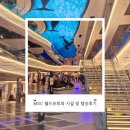 EASY(이지)?라면! | [MSC 월드유로파] 인피니티 오션뷰 신혼여행 탑승후기 (부대시설, 준비물, 공연 등)