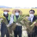 중앙미곡 이미지