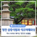 영천 화남리 삼층석탑 | 역사 속에서 깨어난 영천의 보물 화남리 삼층석탑과 석조여래좌상