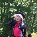 봉봉브라더스 이미지