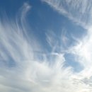 갤러리순 이미지