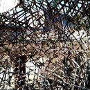 지원 행정사사무소 이미지