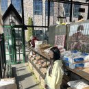 이천쌀상회 | [이천] 대형 베이커리 카페 이진상회 내돈내산 ✔️주차 추천메뉴 이천 가볼만한곳