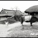 포토에세이주 이미지