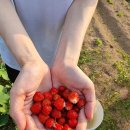 최재순농장 | 놀다 보니 한 달이 지나 부산 여행 후기를 이제야 올린다는 이야기(1)