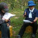 봉도농장 이미지