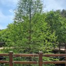 고복자연공원 갈대습지원 이미지