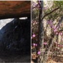 흥양농협남부주유소 이미지