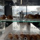 부여애견 이미지