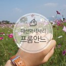 프롬안느 네이버블로그