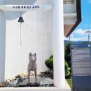 진도개 53카페 이미지