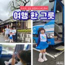 일본 자유여행 여행한그릇 오사카 교토 당일치기 버스투어 가족여행 패키지 &#39;인생사진 찍어주는 여행사&#39;