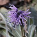 사계절환경 이미지