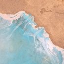 첼로별관 | 함안 대형카페 넓은 정원이 있는'숲필' 아이랑 가기 좋은 곳 +별관소품샵