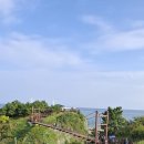 지례초등학교 이미지