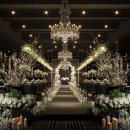 웨스턴베니비스 이미지