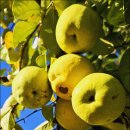 과역면사무소 이미지