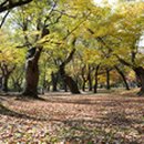 바람꽃펜션 이미지
