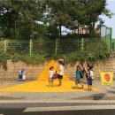 옐로카펫 이미지