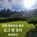 도그엔조이 | 애견 동반 독채 펜션 도그엔조이 숙박 후기 내 돈 내산