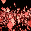 스타사파리(star safari) 이미지