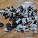 운지버섯을 차로 끓여 마시는데.. 이미지