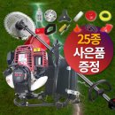 디포스