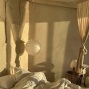 스테이 오아시 이미지