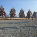 황산공원 농구장 | //양산 캠핑// 황산공원 캠핑장!! 당일치기 캠핑 후기!!