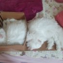 본드PC방 이미지