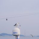 화성도시공사 전곡마리나 | AB요트 제부도 여행 시드니 부럽지 않은 마리나 요트투어 후기