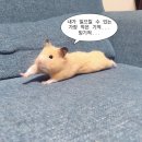 마루동 | -7.5 고도근시 라섹후기😎 라섹 꿀팁 대방출 | 광주 안과 라섹 후기 | 광주 라섹 후기