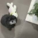 개중목욕탕 이미지