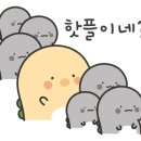핑그르르르(Pingrrr) 네이버블로그