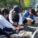 장성초등학교 이미지