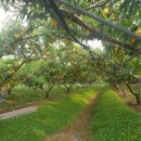 참새골농원 이미지