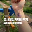 제주월드컵경기장 관광안내소 | 제 28회 서귀포 유채꽃 걷기대회 5km 코스 (5살 아들을 곁들인)