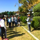 금계초등학교 이미지