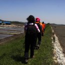 대부해솔길 5코스 이미지