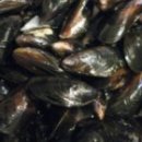 조개시장 이미지