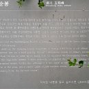 옥순봉길 이미지