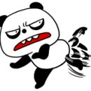 티가렛 이미지