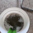 가마치통닭 황성두산위브점 | 경주 두산위브 트레지움 상가 가마치 통닭 삼성 시스템 에어컨 오버홀 세척,청소