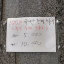 매실한우농장 이미지