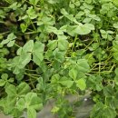 김양식농장 이미지