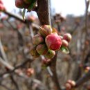 산대월리 이미지