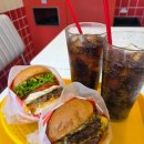 양덕동129 | 마산역맛집 홀리베어버거 양덕동 수제버거 존맛탱 재방문 후기 (feat. 런치할인)