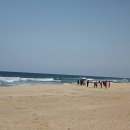 망상오토캠핑리조트 이미지