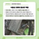 새집 이미지